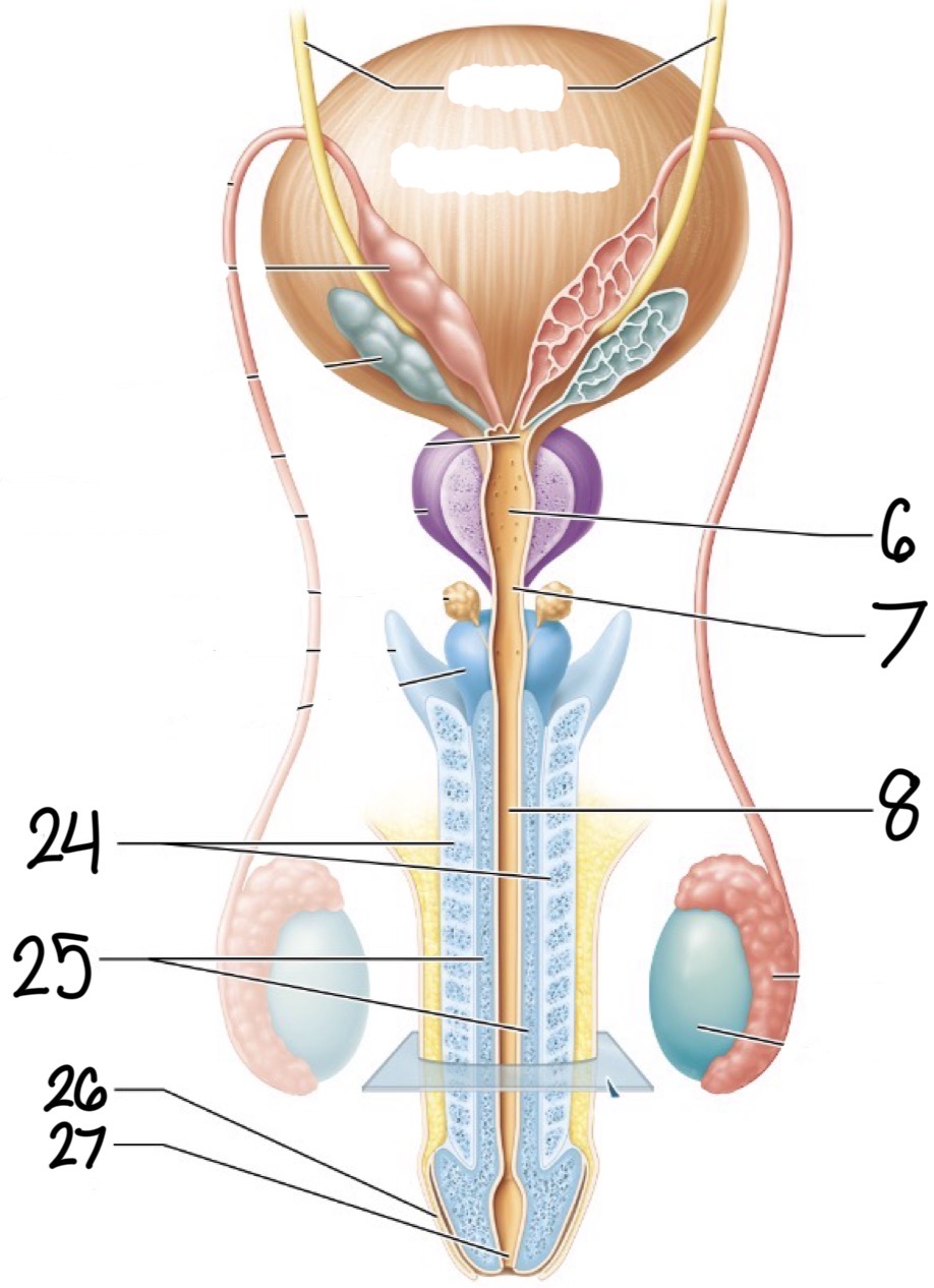 <p>6</p>