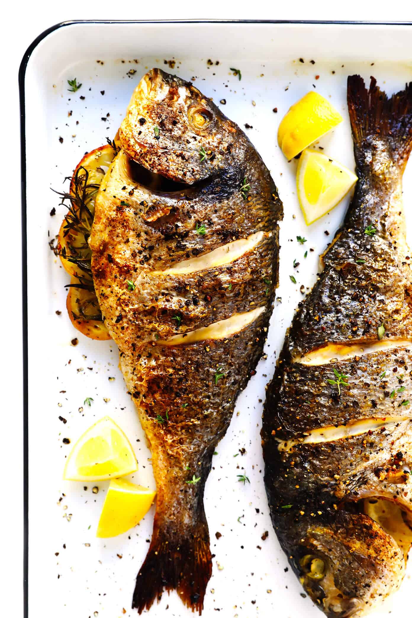 <p>fish</p>