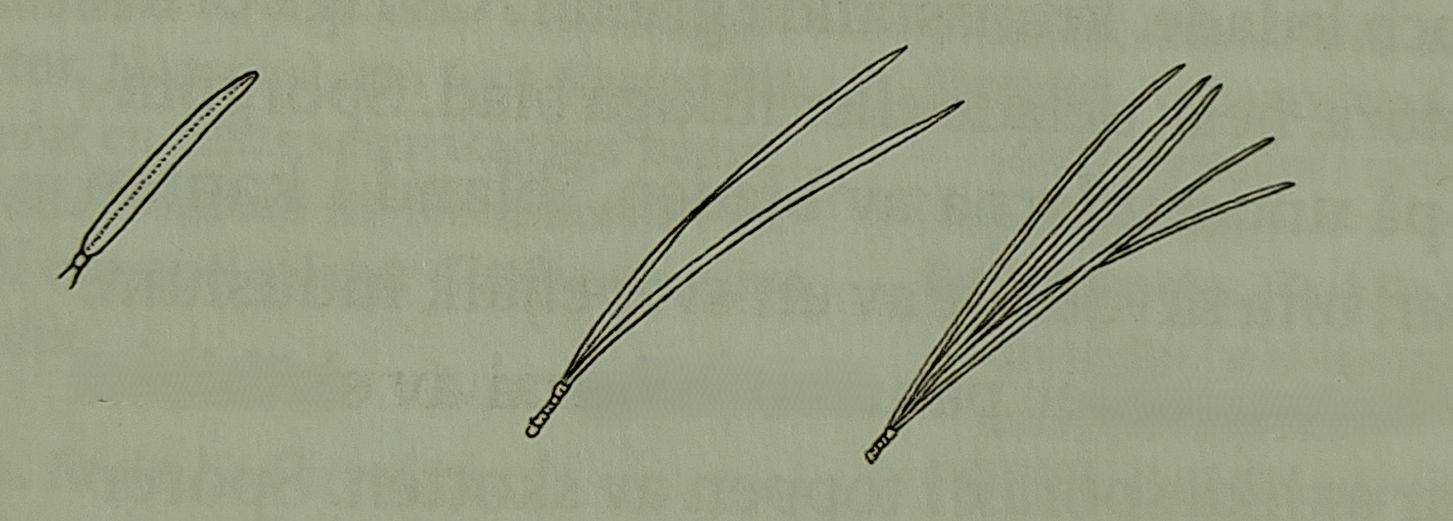 <p></p>