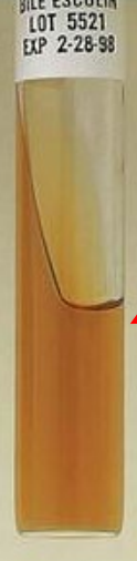 <p>test and result</p>