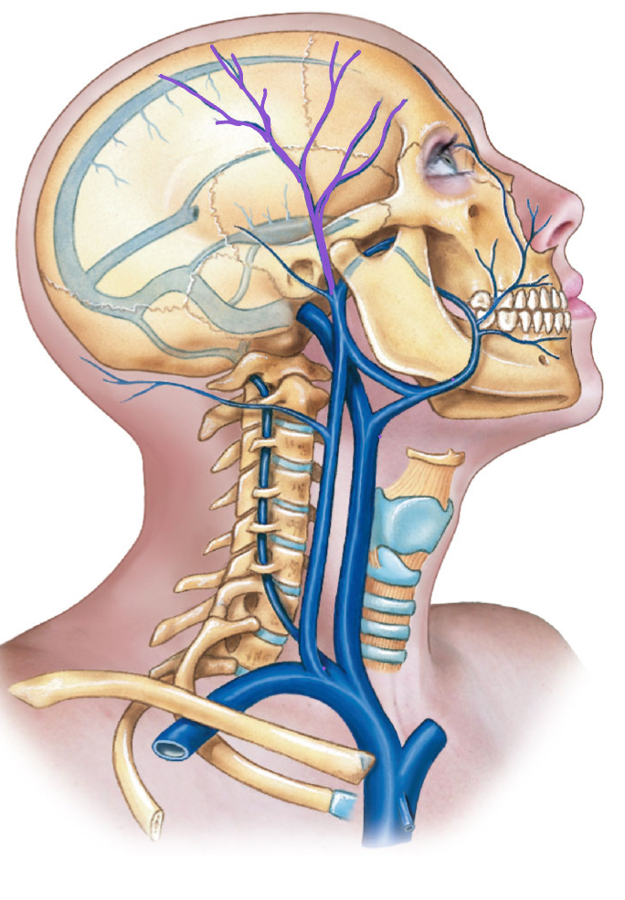 <p>diagram </p>