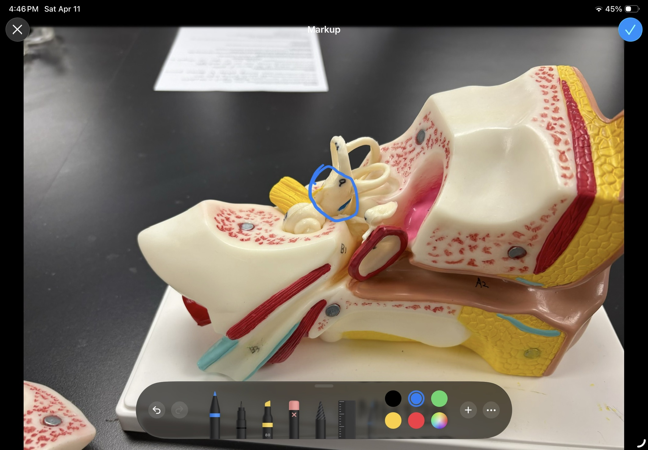 <p>what structure is this </p>