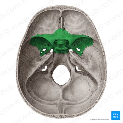 knowt flashcard image