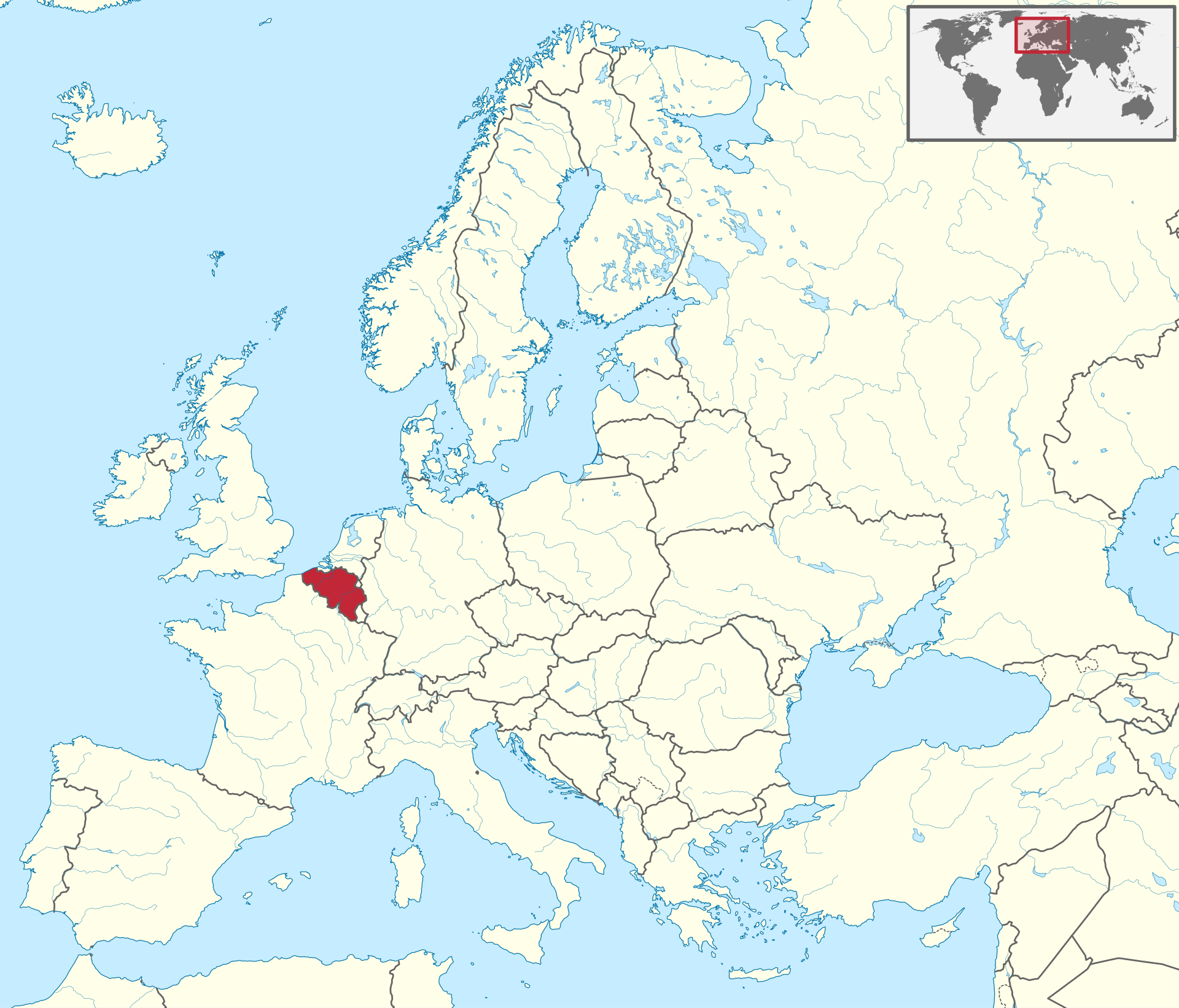 term image