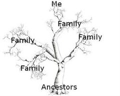 <p>a person from whom one is descended.</p>