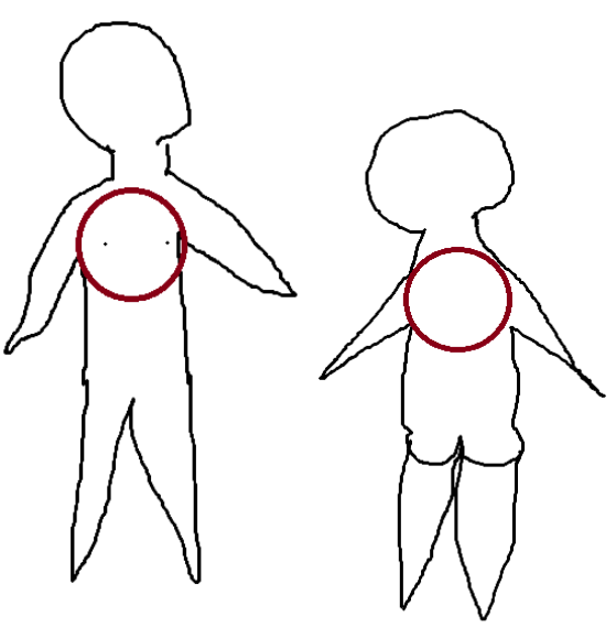 <p>Chest region</p>