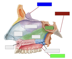 <p>This is the</p>