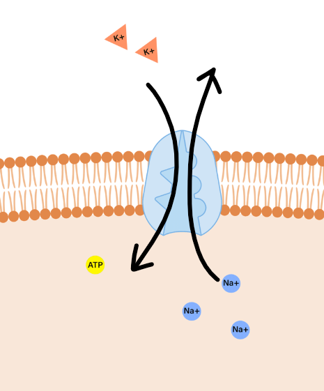 <p>3 OUT, 2 INTO, loss</p>