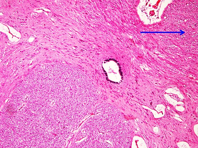 <p>Cấu trúc gì ?</p>