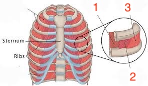 <p>3</p>