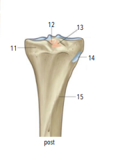 <p>13?</p>