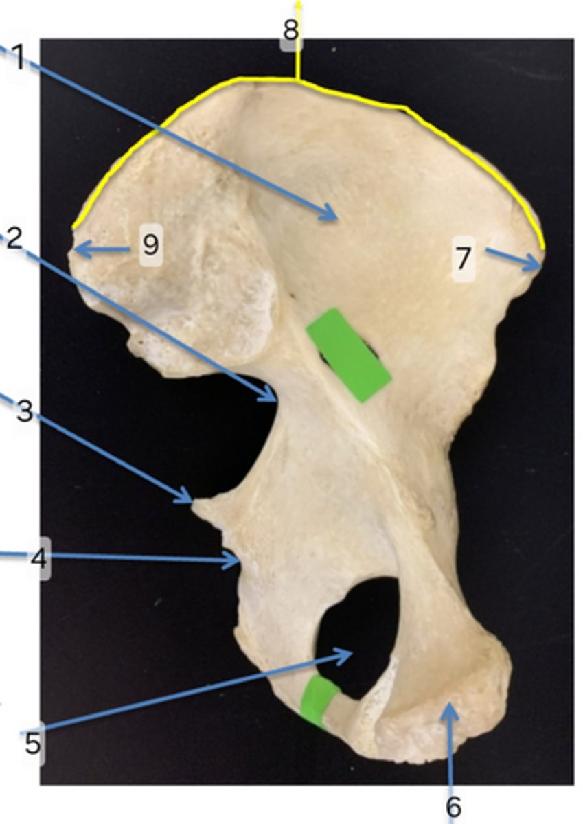 <p>6</p>