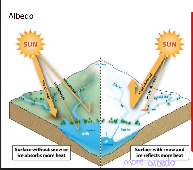 <p>earths reflectivity</p><p>the latin word for whiteness </p><p>used to describe how much sunlight is reflected from the surface of the earth </p>