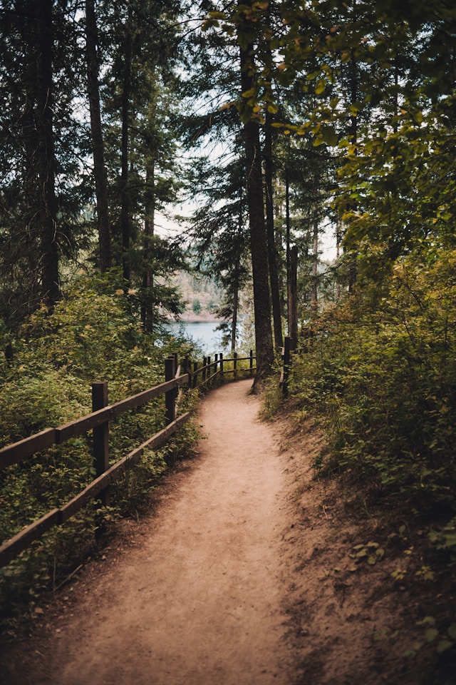 <p>trail</p>