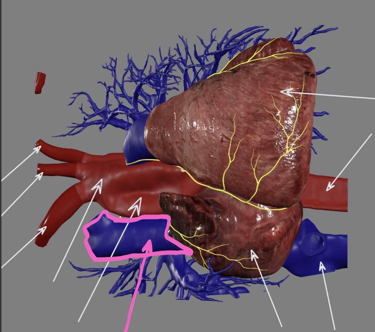 <p>What’s the highlighted area?</p>