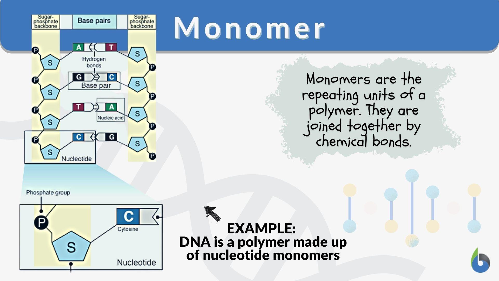 <p>Monomer</p>