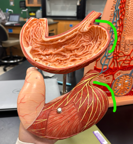 <p>What is the arrow pointing at?</p>