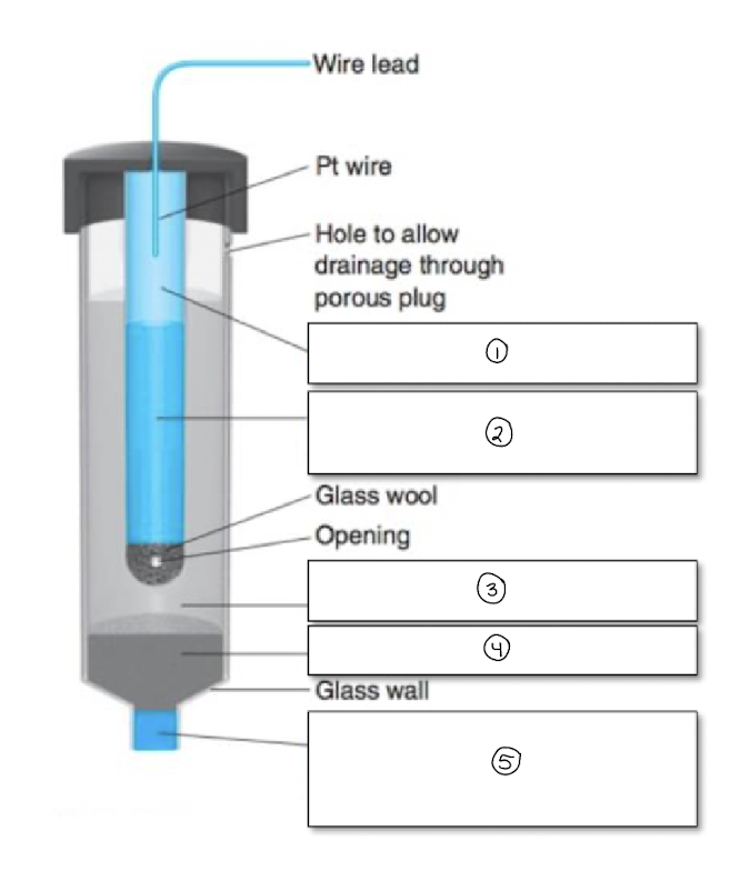 <ol><li><p>Hg (l)</p></li><li><p>Hg, Hg<sub>2</sub>Cl<sub>2</sub>, + KCl</p></li><li><p>sat. KCl</p></li><li><p>solid KCl</p></li><li><p>porous plug/frit-salt bridge to external solution</p></li></ol><p></p>