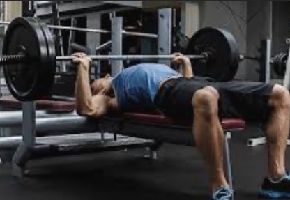 <p>Bench press target muscle and joint action</p>
