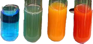 <p>What does the Benedict Test for/detect?</p>