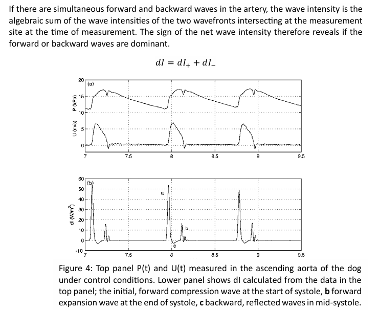 <p>if the forward or backward waves are dominant</p><p>dI=dI+ + dI-</p>