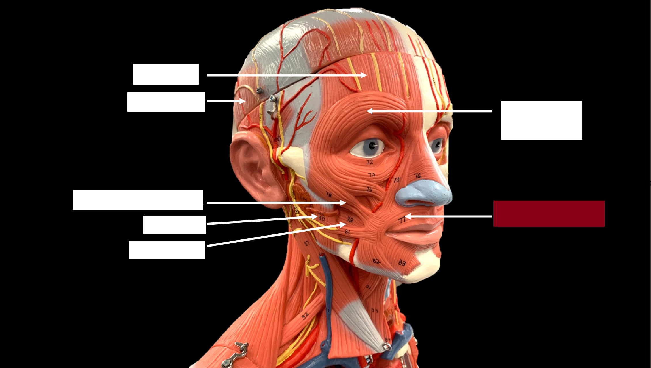 <p>WHAT IS THE NAME OF THE RED HIGHLIGHTED PART?</p>