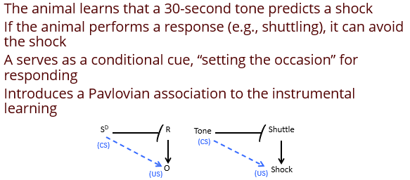 <p>Avoidance learning (SD) </p>