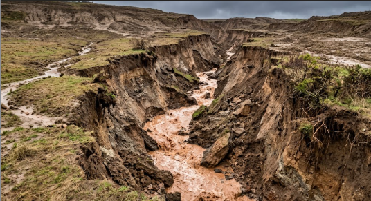 <p>What term/concept is being visualized in this image?</p><p>Definition: The destructive removal of soil by powerful, concentrated water flow that carves deep channels into land stripped of vegetation.</p>