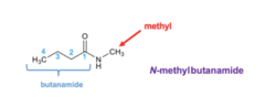 <p>Follow the same pattern of naming esters, except: </p><p>1. Any alkyl groups attached to the nitrogen gets listed as "N-methyl", "N-ethyl", "N-propyl" etc.</p><p>2. The parent chain starts at the carbonyl carbon and is counted moving away from the amide nitrogen.</p>