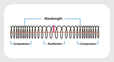 <p>Longitudinal wave: The oscillations are parallel to the direction of energy transfer</p>