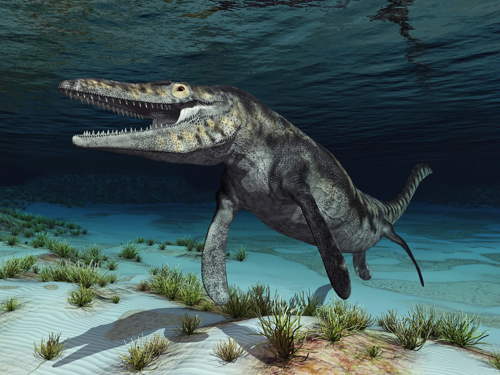 <ul><li><p>2 temporal openings</p></li><li><p>Archosauria (ancient reptiles)</p></li><li><p>Lepidosauria (scaly reptiles)</p><ul><li><p>Mosasaurus: looks like Euryapsida but not, not true dinosaurs</p></li></ul></li></ul><p></p>