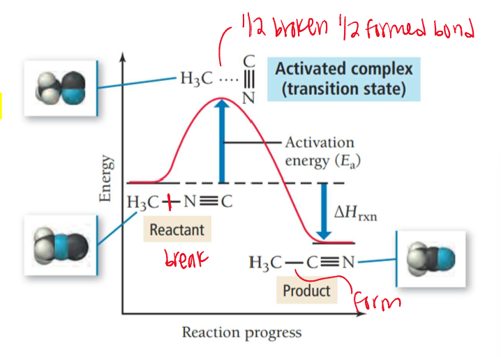 <p>The amount of energy needed to convert reactants into the activated complex or transition state. </p><p>The difference in energy between the reactants and the activated complex. </p>