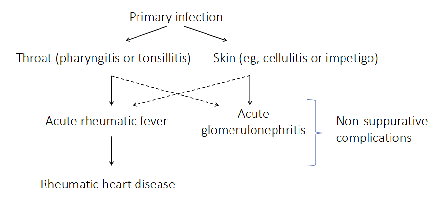 <p>- non-suppurative means non-pus forming complications</p><p>- due to immune response to infection</p><p>.</p><p>PRIMARY INFECTION:</p><p>Throat or Skin infection</p><p>- as a consequence of the immune response to this infection you develop these other diseases (acute rheumatic fever or acute glomerulonephritis)</p><p>- can cause rheumatic heart disease</p>