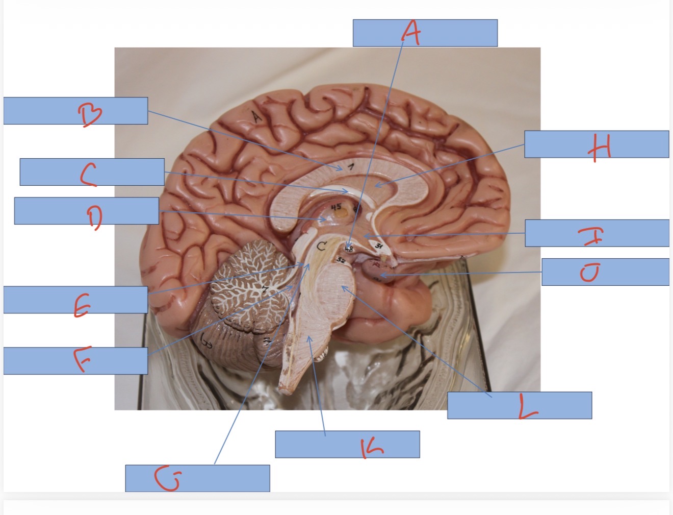 <p>What is J?</p>