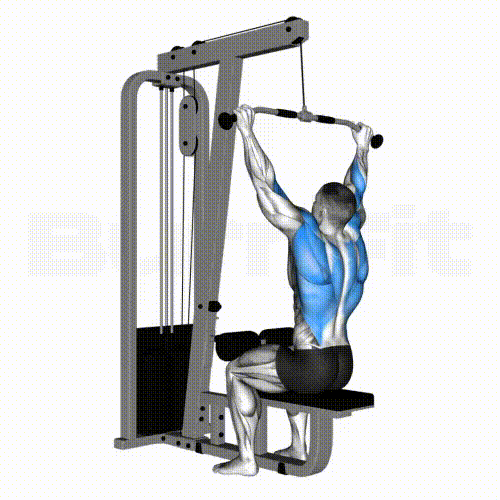 <p>What are the joints and muscles in a Lat pulldown and or chin up?</p>