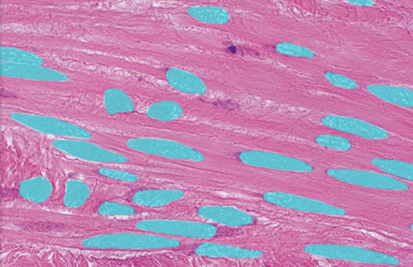 <p>What is highlighted</p>