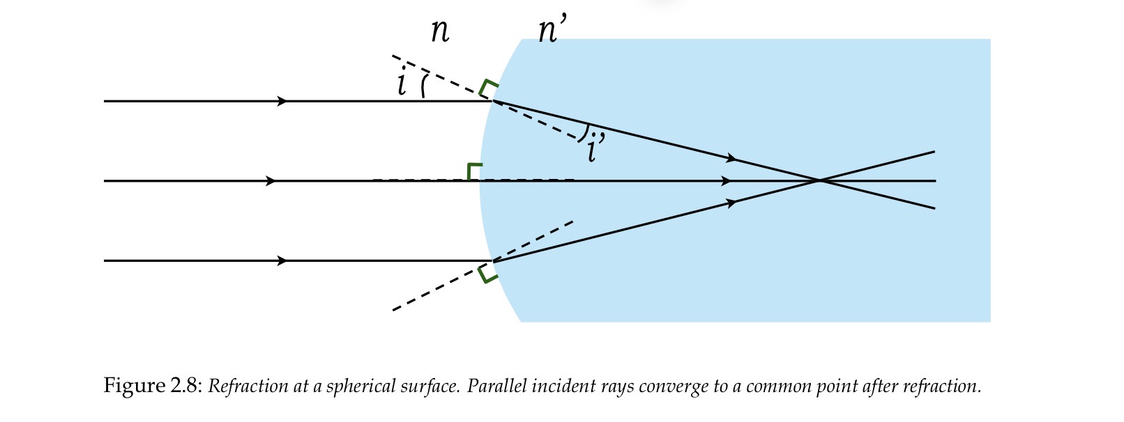 <ul><li><p>The <strong>normal</strong> is a line at <strong>90° to the surface</strong> at the point where the rayintersects it.</p></li><li><p>Since a spherical surface is curved, rays hitting different pointsrequire <strong>different normals</strong>, which are therefore <strong>not parallel</strong>.</p></li><li><p>Each normal passes through the <strong>centre of curvature</strong>.</p></li></ul><p></p>