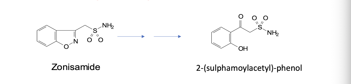 <ul><li><p>sulfonamide derivative</p></li><li><p>multiple MOA</p></li><li><p>35% excreted unchanged</p></li><li><p>metabolic pathway to form 2-(sulphamoylacetyl)-phenol involves hydrolytic ring cleavage either by 3A4 or intestinal bacteria</p></li><li><p>caution in sulfa hypersensitivity</p></li></ul><p></p>