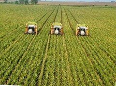 <p>a series of research, and development, and technology transfer initiatives, occurring between the 1940s and the late 1960s, that increased agriculture production worldwide, particularly in the developing world</p>
