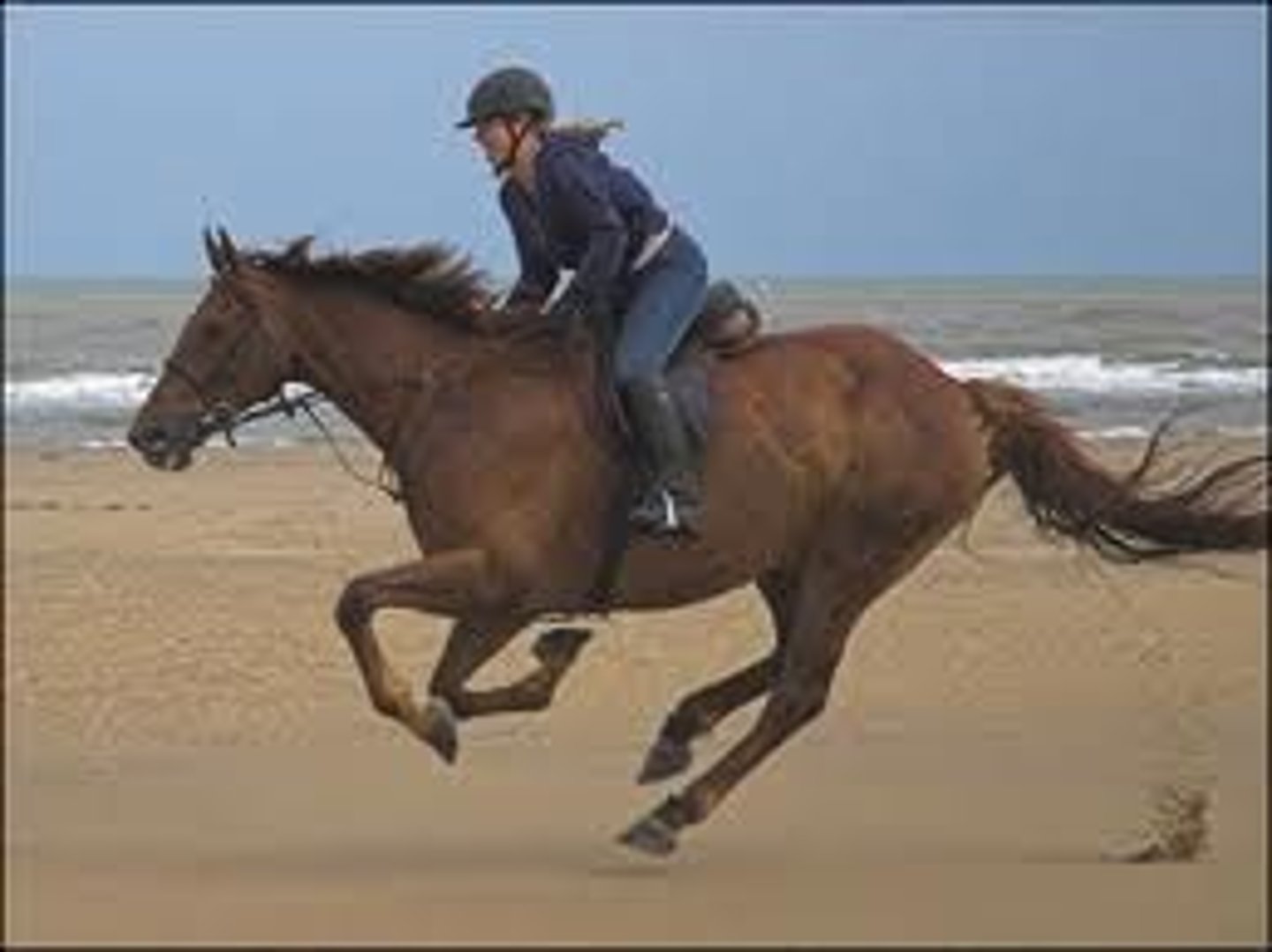 <p>Tú ______________ (preferir) montar a caballo.</p>