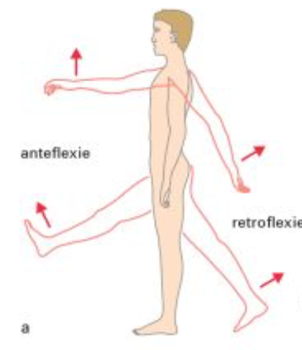 <p>Geef aan in welk vlak en om welke as anteflexie en retroflexie worden uitgevoerd.</p>