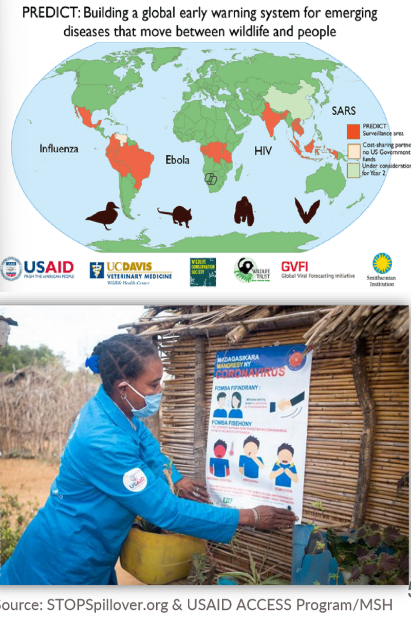 <p>prim: reducing how <strong>vulnerable </strong>we are to the hazard</p><p>sec: reducing the <strong>effects </strong>of the hazard</p><p>.</p><p>PREDICT: searches for new viruses that could become the next pandemic </p><p>STOP: researches risk factors that could lead to a spillover event, implement interventions for them, then assess how effective it is </p>