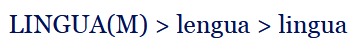 term image