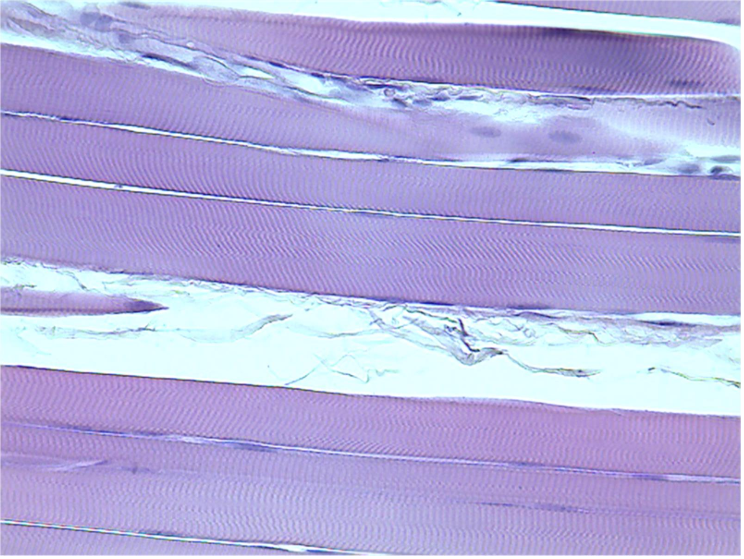 <p>what is this tissue</p>