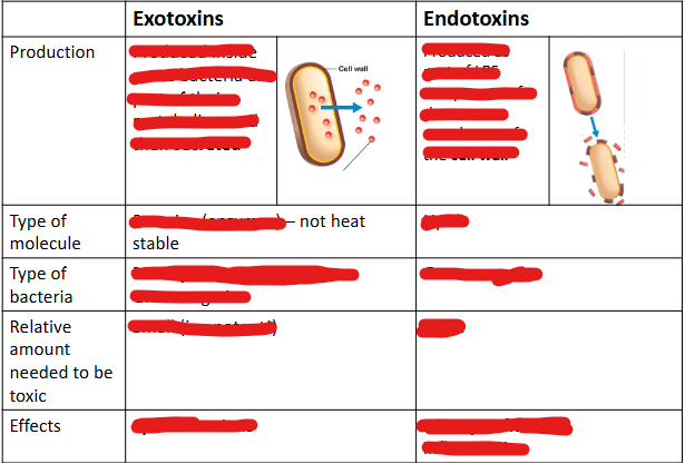 <p>Exotoxins vs. Endotoxins chart</p>