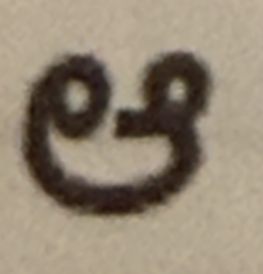term image