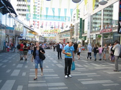 <p>(n): phố đi bộ</p>