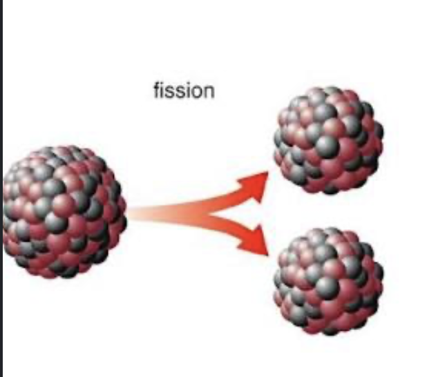 <p>Releases energy- splits atoms</p>