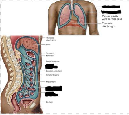 <p>3 (top left) </p>