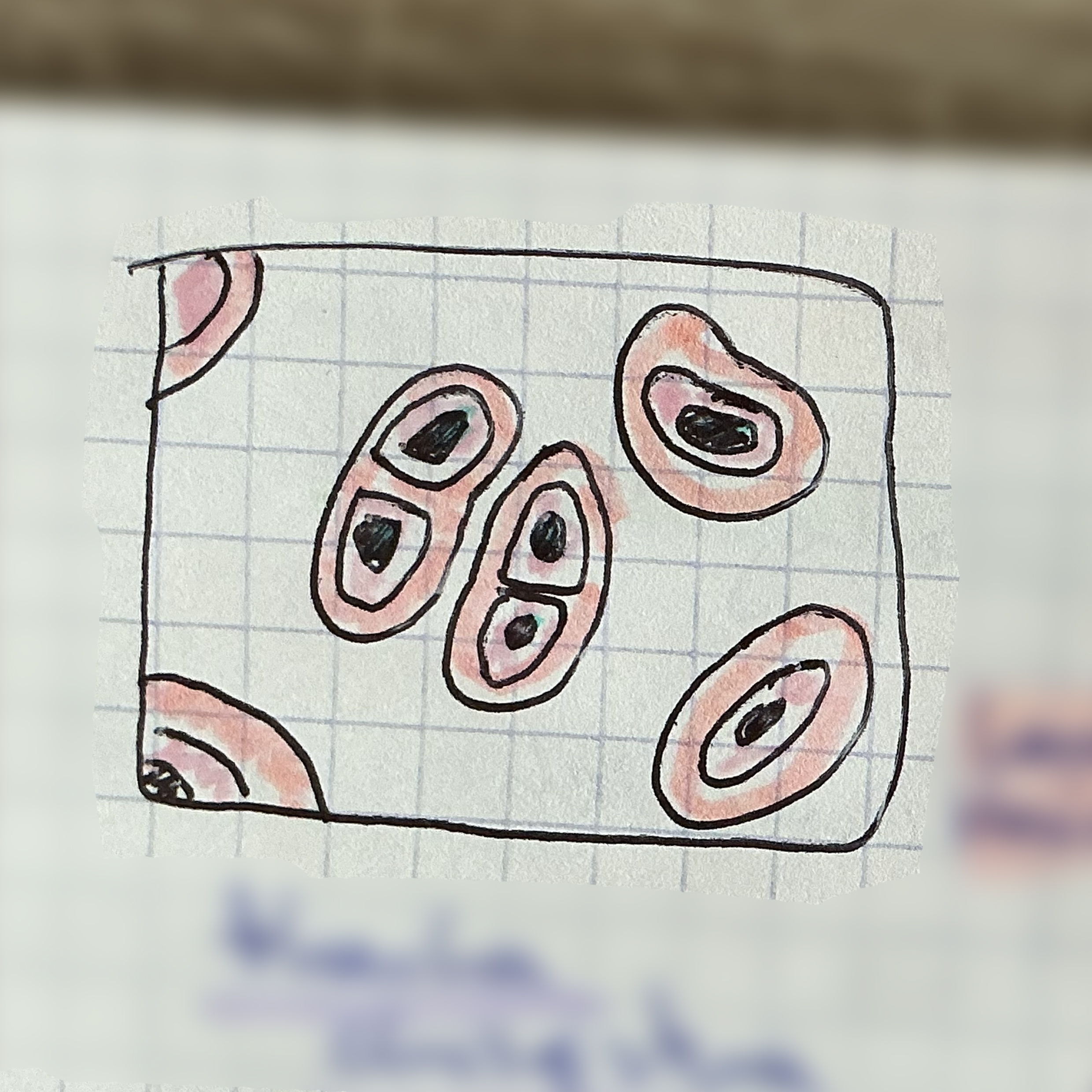 <p>jaka to tkanka?</p>